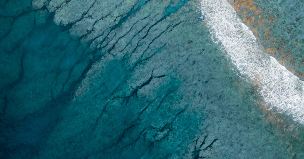 Best Practices for Common Data Service Implementation