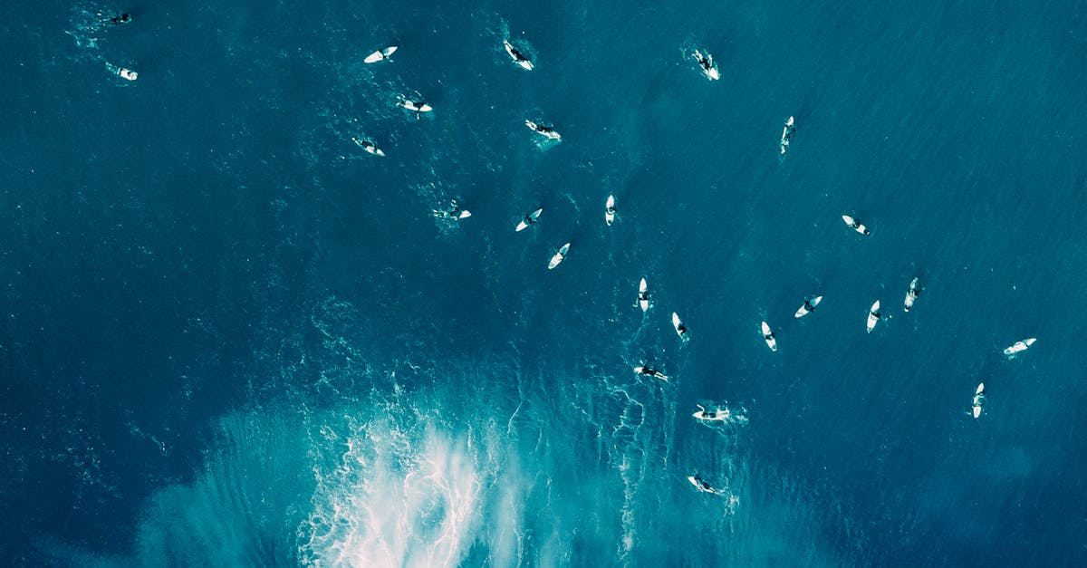 Customizing Navigation Features for Power Apps