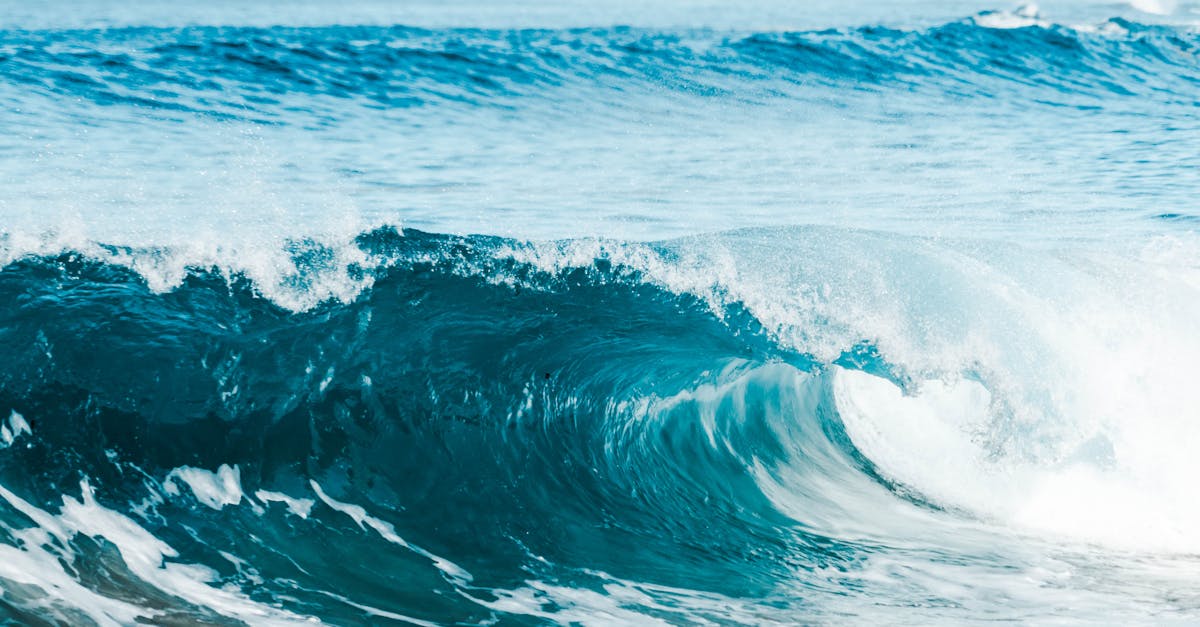 Implementing Custom Branding in Power Apps