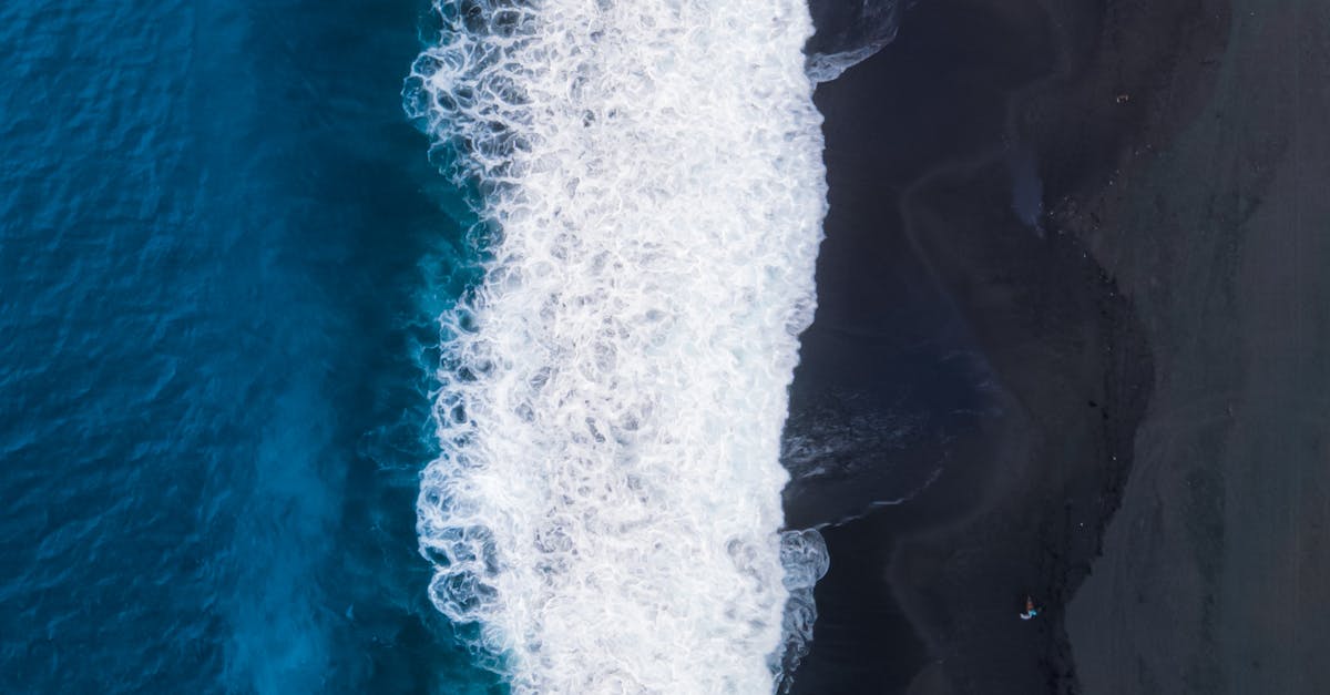 Leveraging CSS for Customization in Power Apps