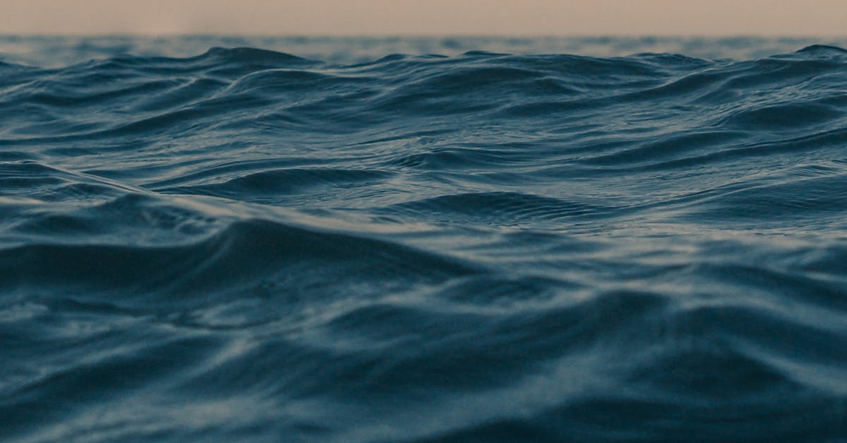 Testing and Debugging Accessibility in Power Apps