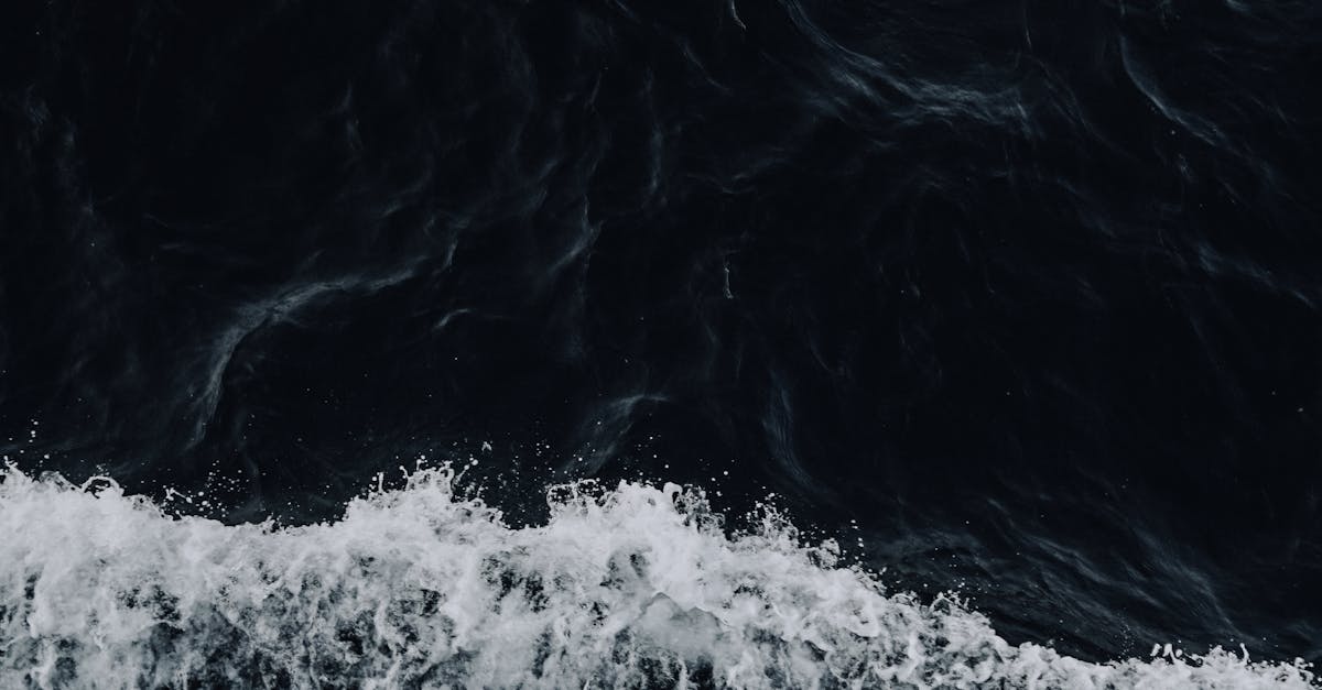 Understanding User Behavior in Power Apps